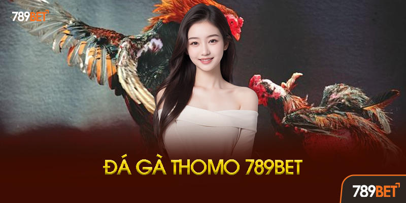 Kinh Nghiệm Xem Kèo Đá Gà Thomo Chuẩn Xác