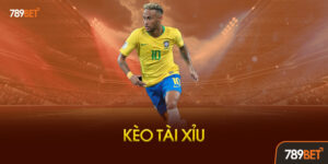 Kèo Tài Xỉu Là Gì? Vì Sao Lại "Hot" Đến Vậy?