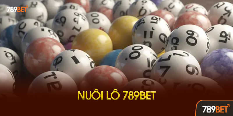 Chiến Thuật Nuôi Lô Hiệu Quả Từ Cao Thủ 789bet