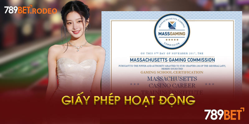 Giấy Phép Hoạt Động 789BET Là Gì? Tổng Quan Chi Tiết